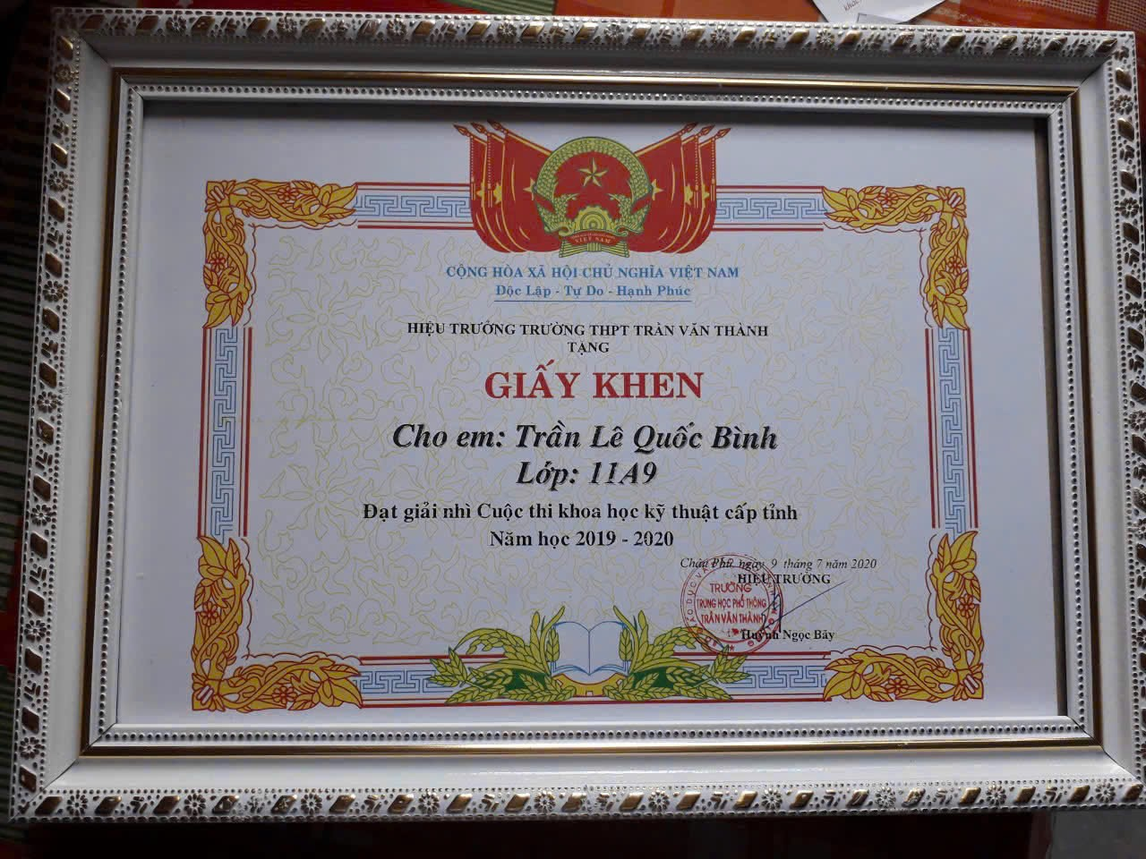 Vietnam Science and Engineering Fair certificate